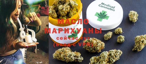 spice Дмитриев