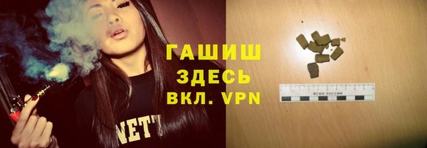 spice Дмитриев