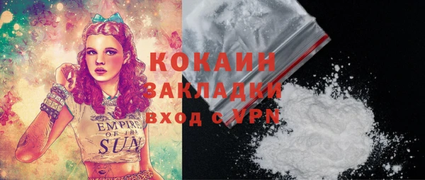 spice Дмитриев
