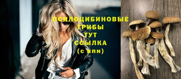 spice Дмитриев
