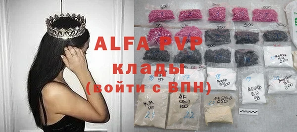 spice Дмитриев