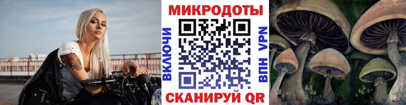 Псилоцибиновые грибы GOLDEN TEACHER  где можно купить   Обь 