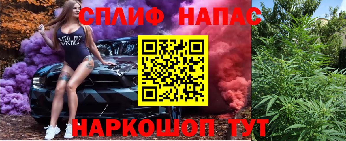 МАРИХУАНА гибрид Обь